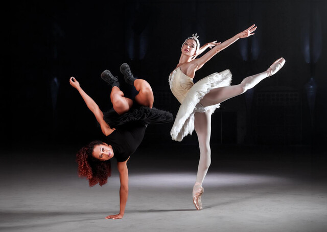 Override of the title Swan Lake remixed for ADE
