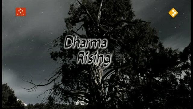 Dharma rising 2: Into the future