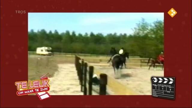 Te leuk om waar te zijn