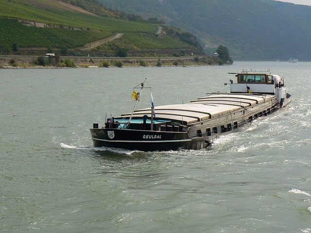 Zwemmen in de Nederrijn