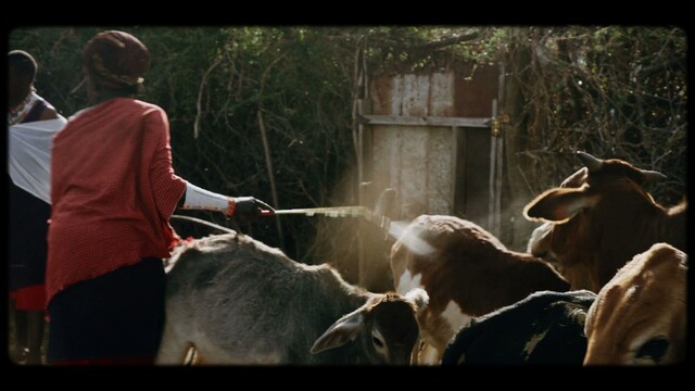 Sign of the times - Klimaat