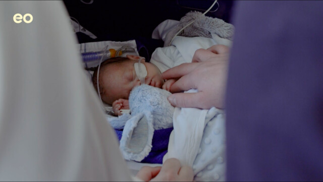 "Ace heeft een omweggetje gemaakt" | Handen aan de couveuse