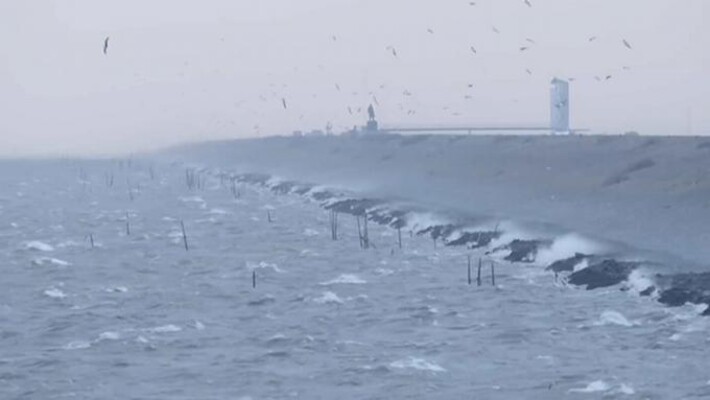 Vroege Vogels TV  | 3 mei 2019 | De Afsluitdijk