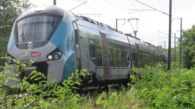 Frankrijk: Orléans - Nantes - Le Croisic