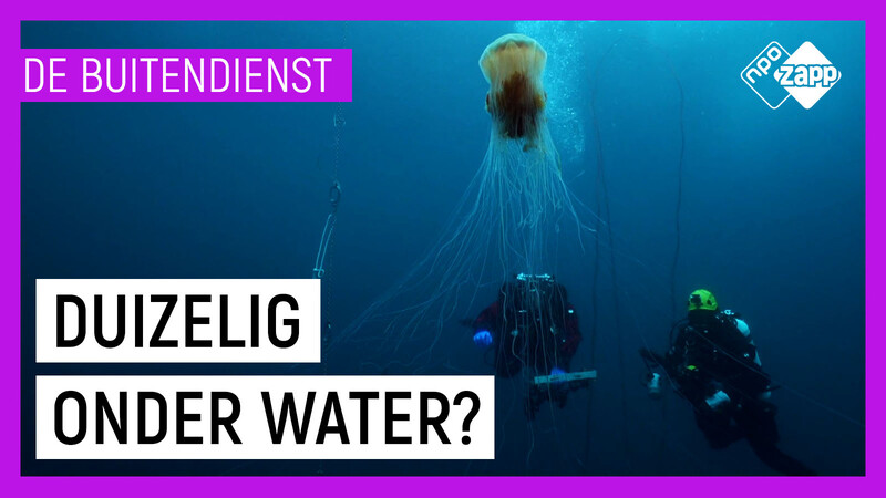 Duikverhalen van De Buitendienst