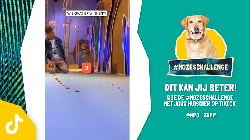 #Mozeschallenge 1. Wie is er sneller?