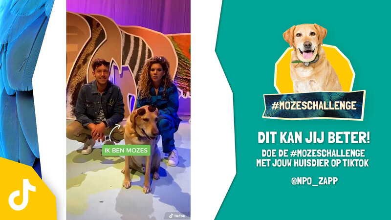 #Mozeschallenge 4. Dansen