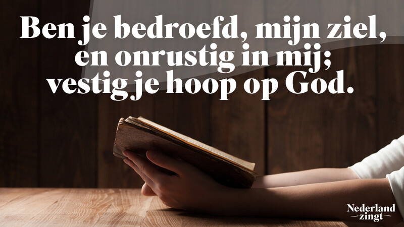 Nederland Zingt lied delen: Zoals een hinde