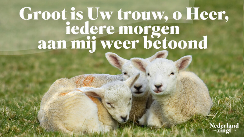 Nederland Zingt lied delen: Groot is Uw trouw