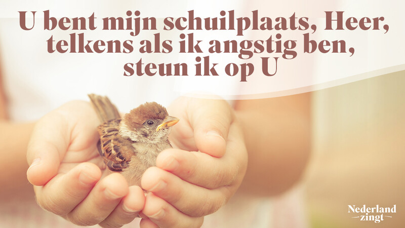 Nederland Zingt lied delen: U bent mijn schuilplaats