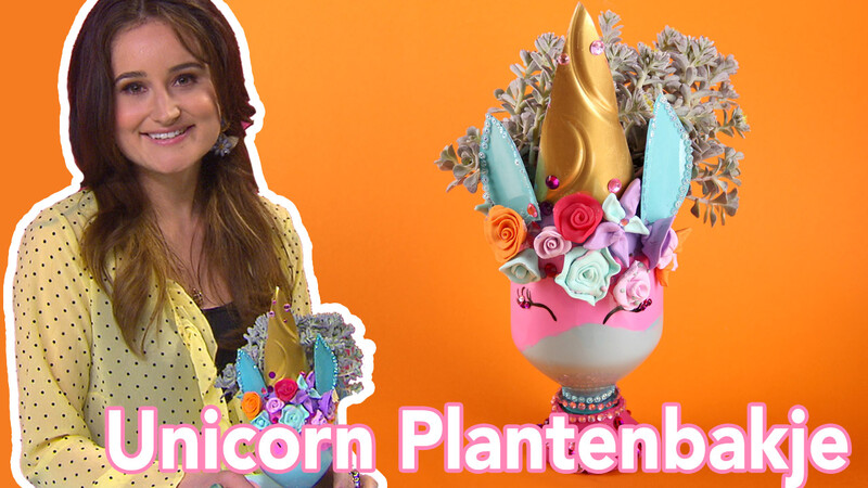 Unicorn Plantenbakje - DIY | Jill