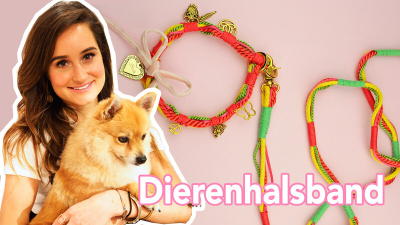 Halsband voor Dierendag - DIY | Jill