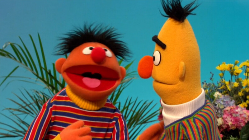 Bert vindt zijn ritme