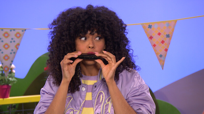 MONDHARMONICA | Zin in Zappelin