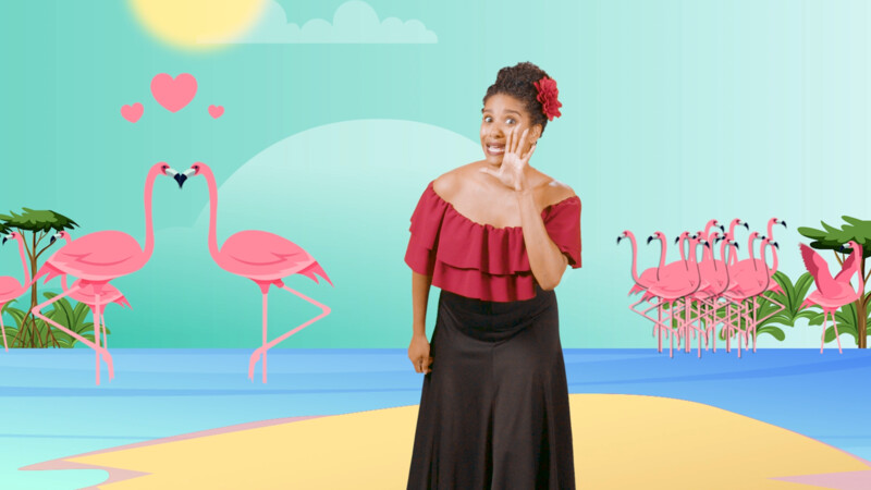 Dans mee met Zuzu - Flamenco