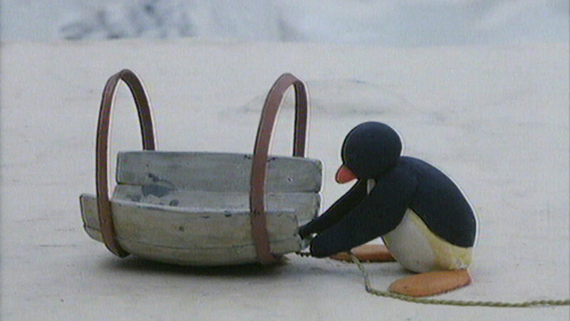 Pingu