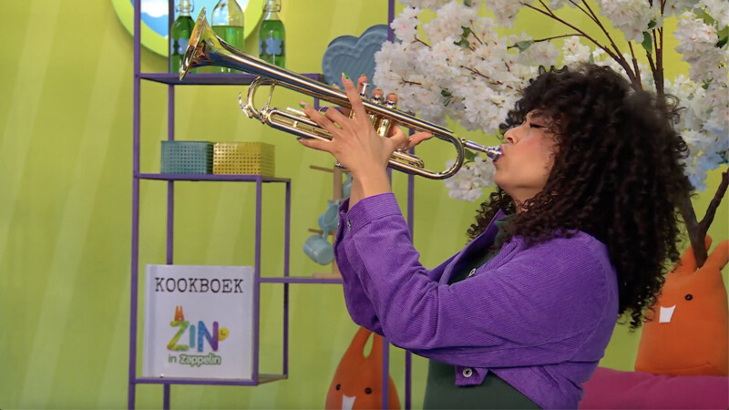 DAAR ZIT MUZIEK IN | Zin in Zappelin