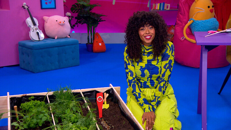 MOESTUIN | Zin in Zappelin