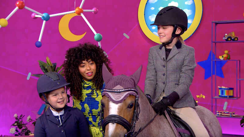 PAARDEN | Zin in Zappelin
