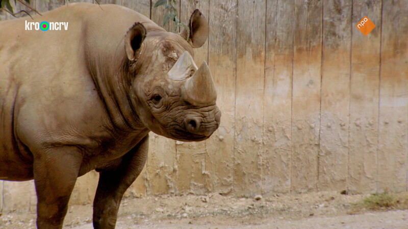 De Zoo