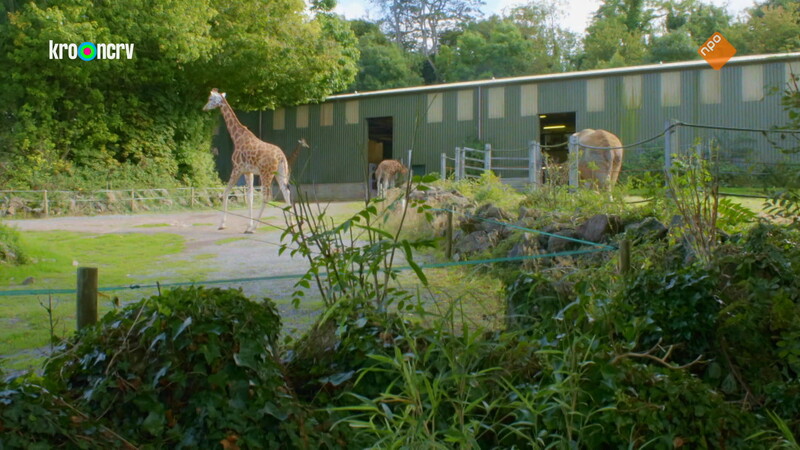 De Zoo