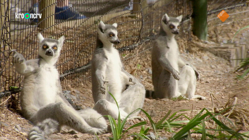 De Zoo