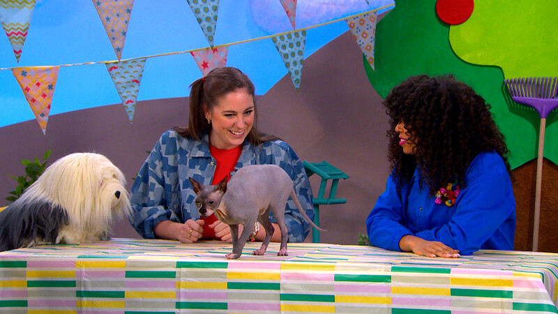 WEEK TEGEN PESTEN | Zin in Zappelin