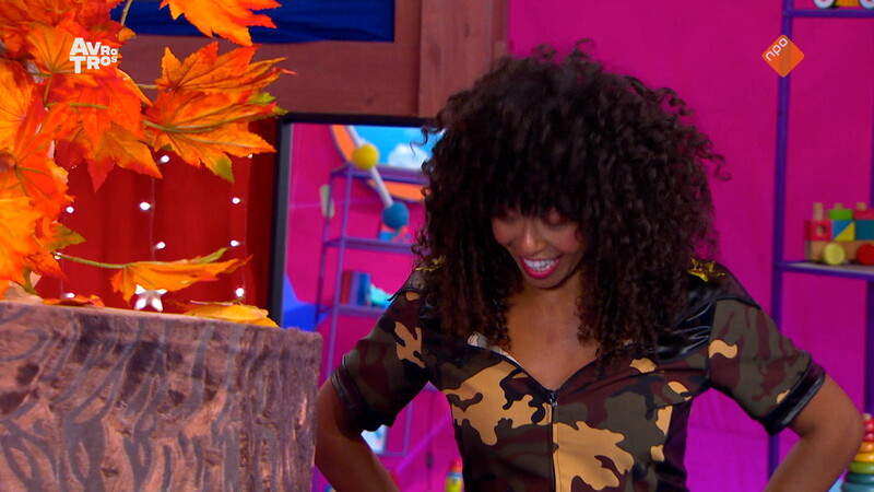 Zin in Zappelin - compilatie