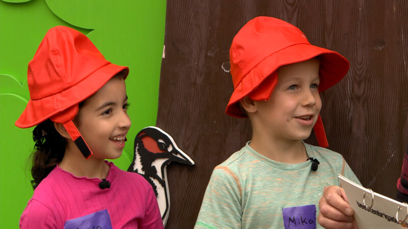 Beestenbrigade battle