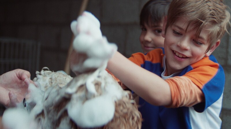 Geitje voor een karweitje