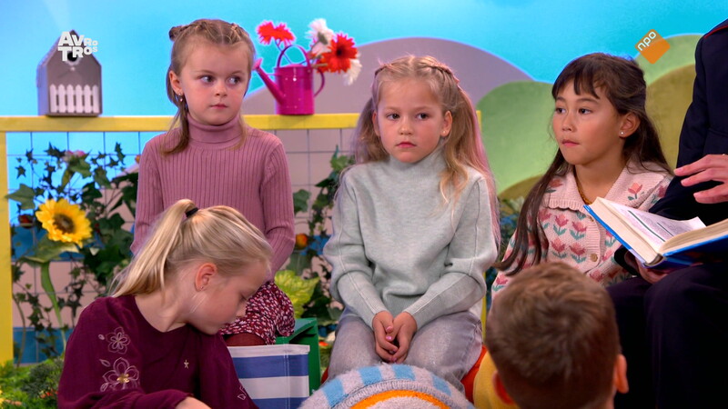 Zin in Zappelin - compilatie