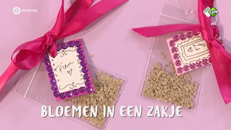 Jill Bonus DIY: Bloemzaadjes