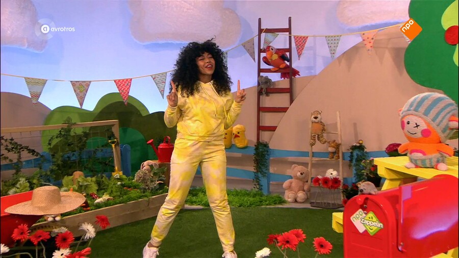 Zin in Zappelin