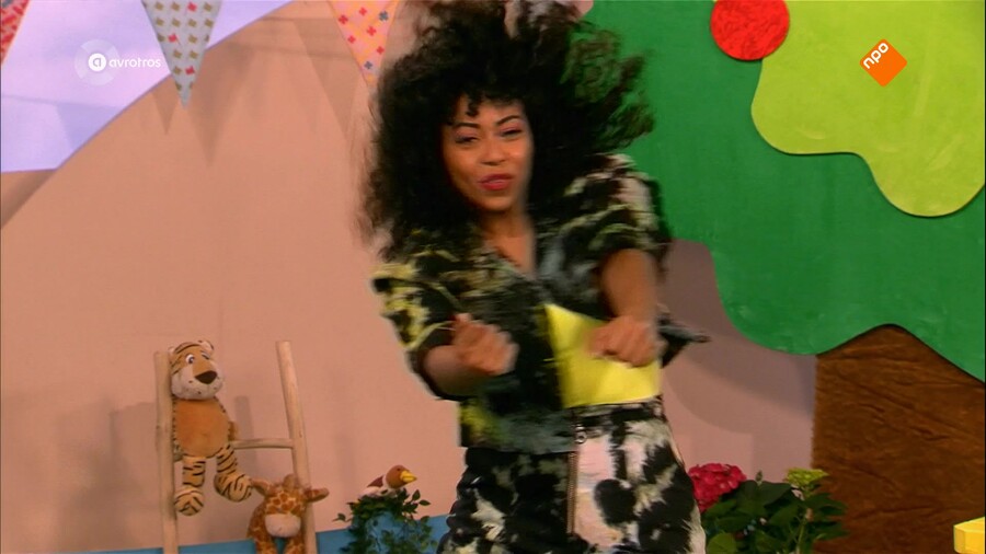 Zin in Zappelin