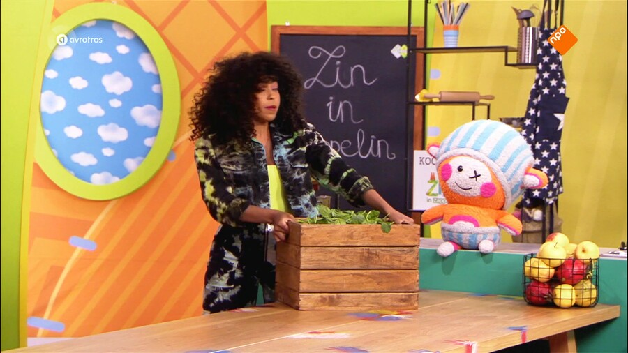 Zin in Zappelin