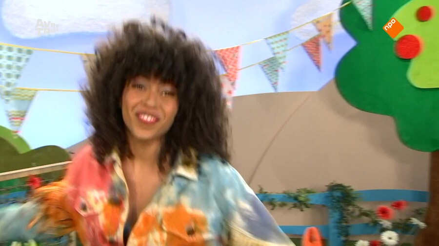 Zin in Zappelin