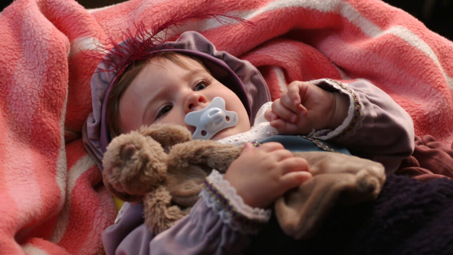 Het Sinterklaasjournaal