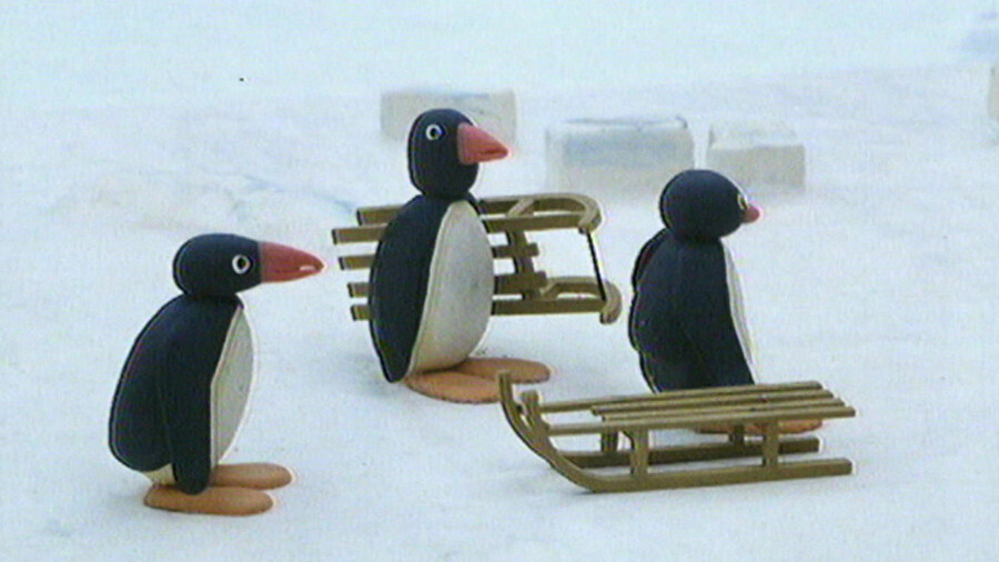 Pingu