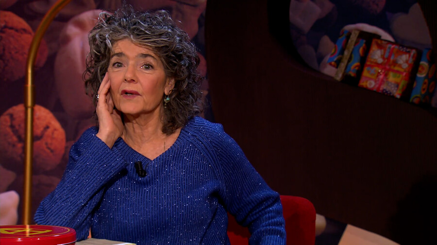 Het Sinterklaasjournaal