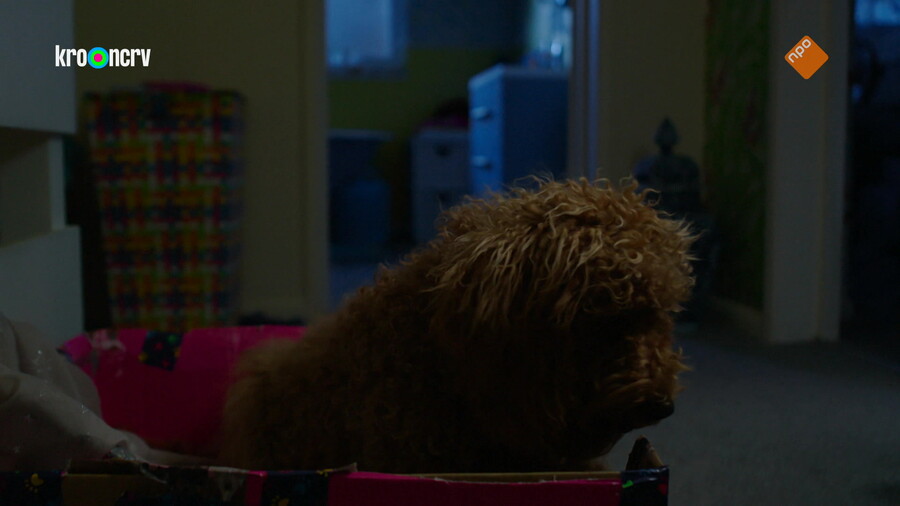 Waffel de wonderhond