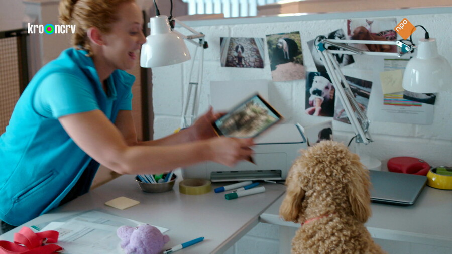 Waffel de wonderhond