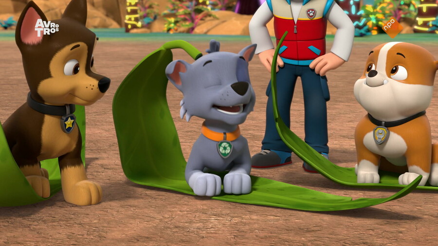 Paw Patrol