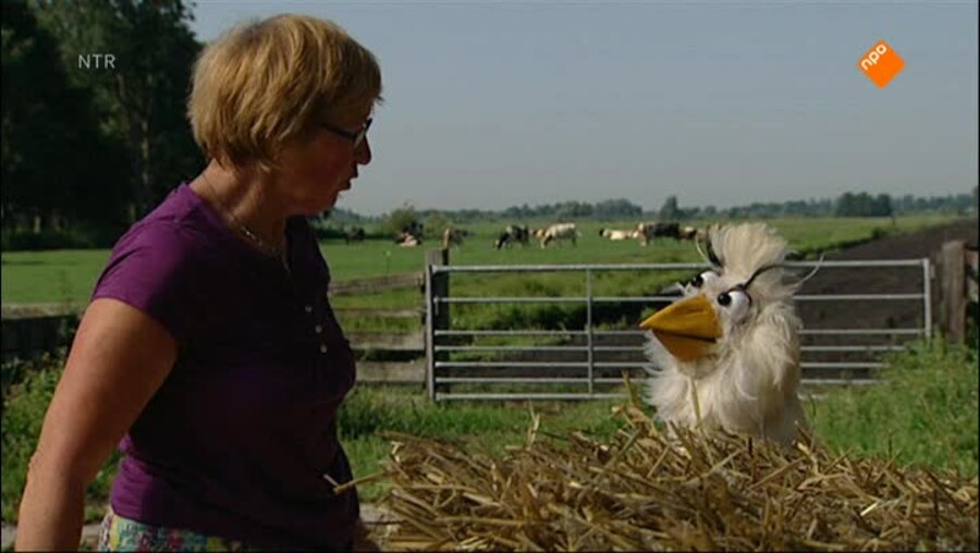 Huisje Boompje Beestje