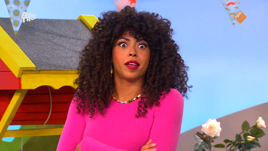 Zin in Zappelin - compilatie