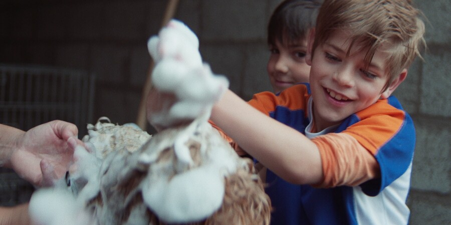 Geitje voor een karweitje