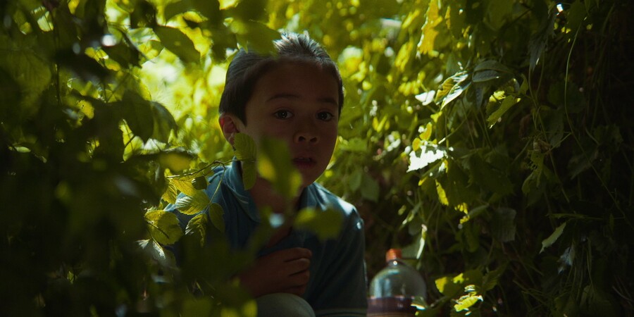 Geitje voor een karweitje