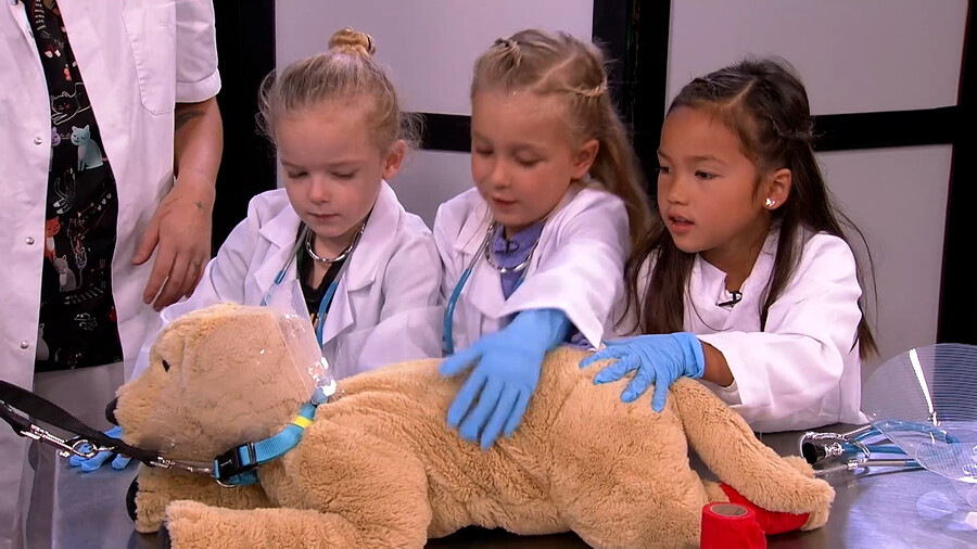 Raad eens wat ik doe