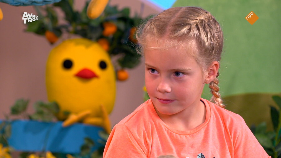 Zin in Zappelin - compilatie