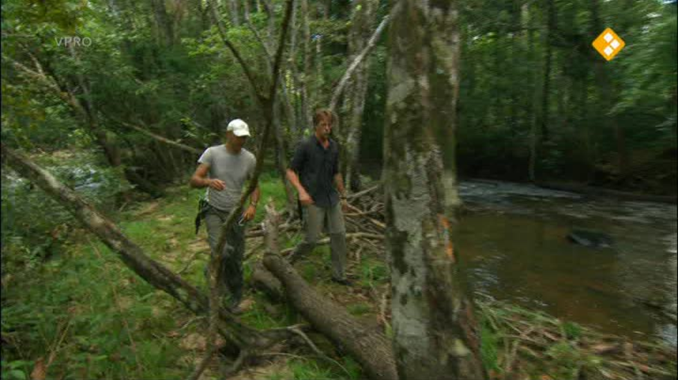 Freek in het wild: Kamp/Luiaard gemist? Terugkijken doe je op NPO3.nl