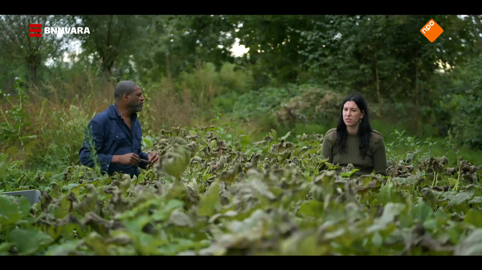 Boerderij Van Dorst Fragment: "Wat Doe Ik Niet Goed?" Gemist? Terugkijk ...